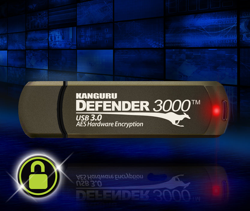 Kanguru Defender 3000 — drive on security background
