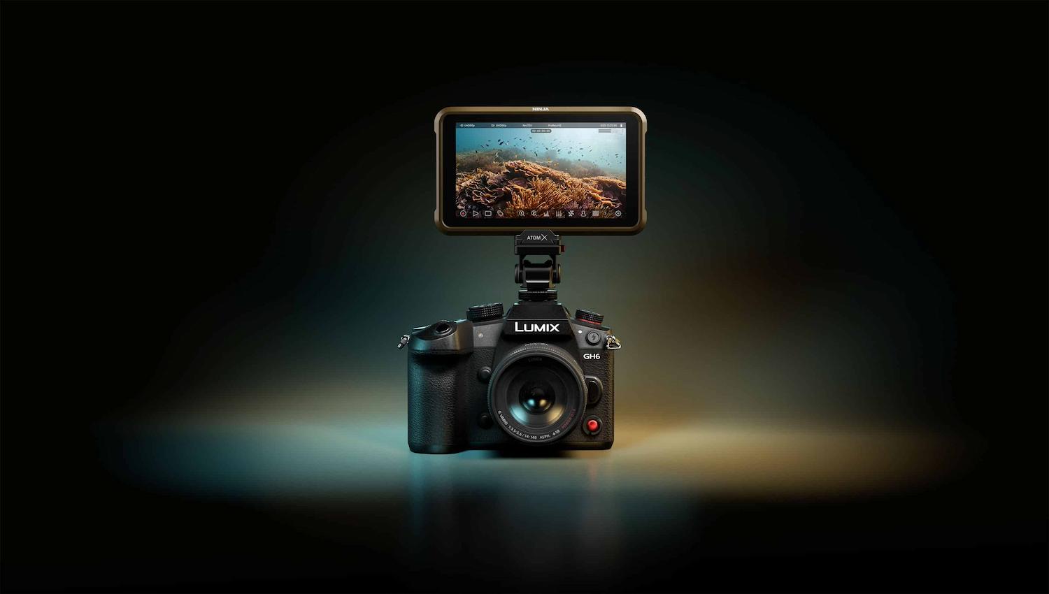 Atomos Ninja – 5-inch 4K HDR Monitor and Recorder