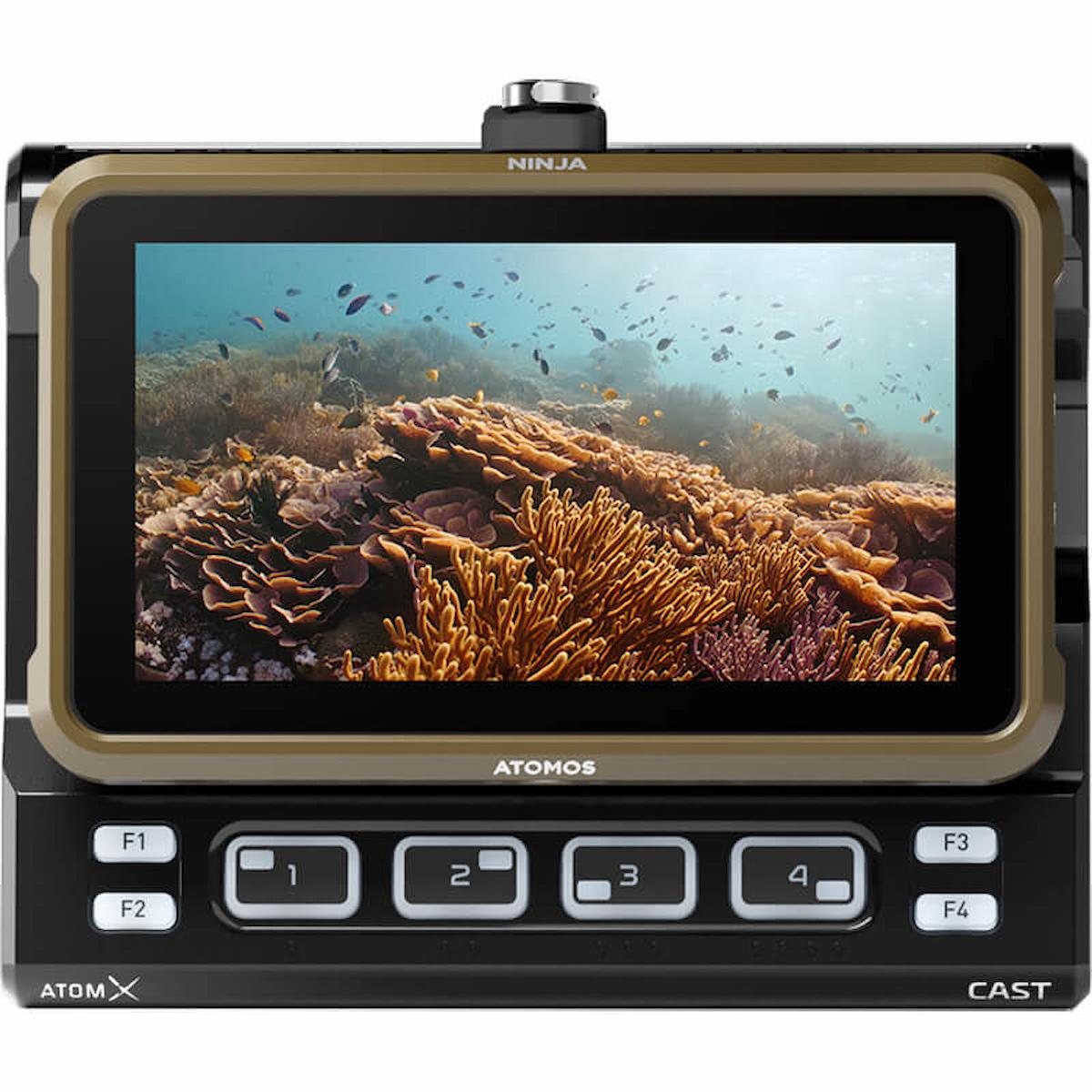 Atomos Ninja – 5-inch 4K HDR Monitor and Recorder