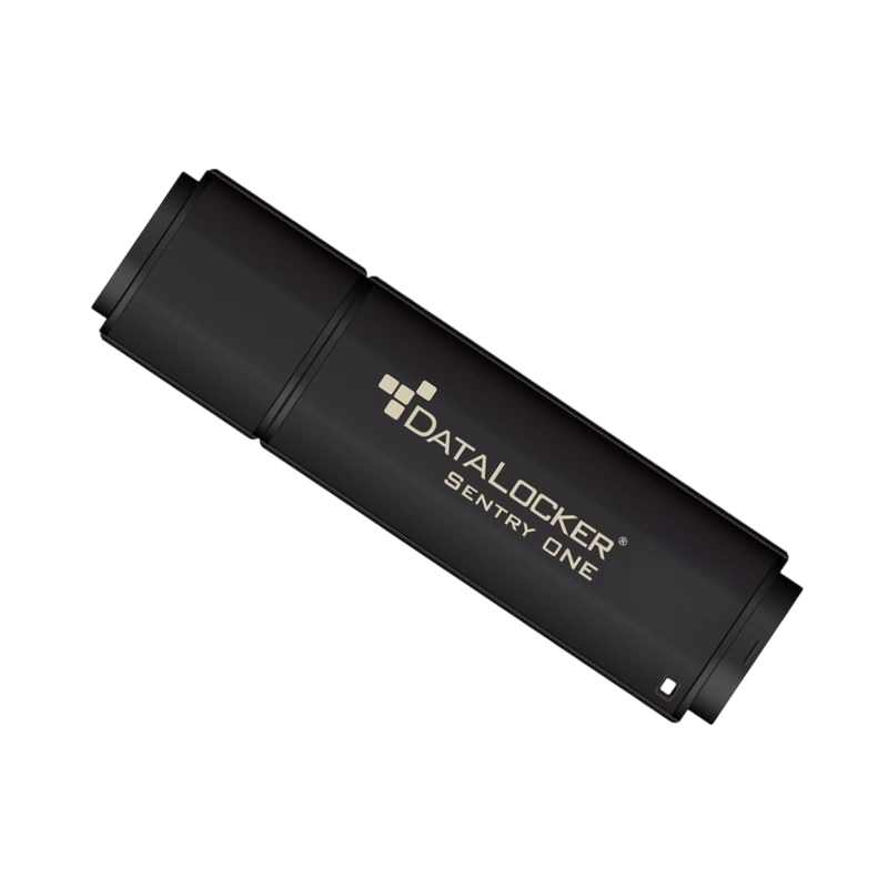 DataLocker Sentry ONE Encrypted USB Flash Drive — angle view