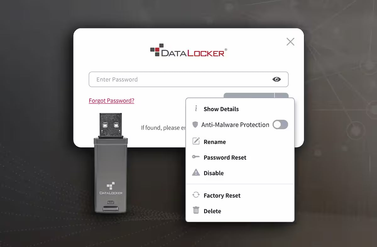 DataLocker DL GO Encrypted USB-A Flash Drive – Password Protected AES USB (4GB / 16GB / 64GB)